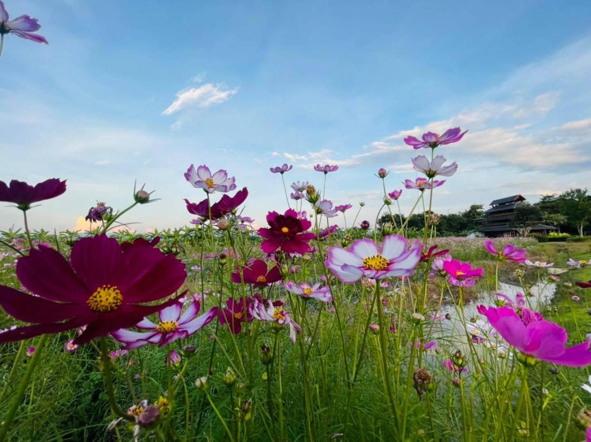 Chapulin Natural Resort 치앙마이 외부 사진
